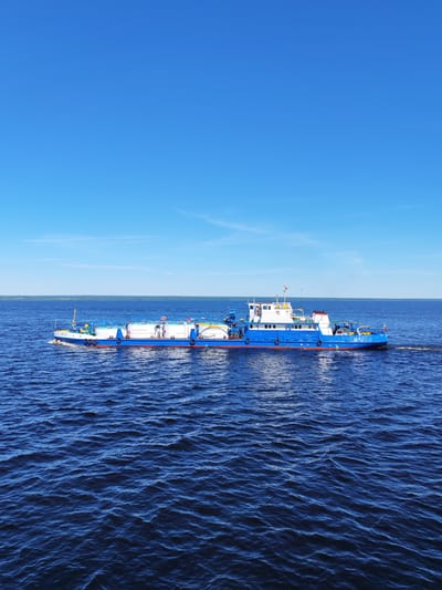 The image depicts a blue and white service vessel, likely a tanker, traversing a large expanse of deep blue, wavy water under a clear, bright blue sky with a few faint wisps of clouds on the horizon. The vessel is oriented laterally, moving from left to right across the frame, leaving a white wake behind its stern.
The boat's hull is predominantly dark blue with an orange/red stripe near the waterline. The superstructure is white, featuring multiple windows and a small mast with a red and white striped flag. On the deck, several large, white, cylindrical tanks are visible, suggesting the transport of liquids. One tank bears the red Cyrillic inscription "ОГНЕОПАСНО" (OGNEOPASNO), indicating "DANGEROUS" or "FLAMMABLE" cargo. Towards the bow, a yellow structure with equipment is present, along with a blue box featuring the black Cyrillic text "АПТ-011" (APT-011). Black rubber fenders are affixed to the side of the hull. A prominent red "Z" symbol is visible on a white object on the top deck of the vessel's stern section, and a small Russian Federation flag (white, blue, red horizontal stripes) flies from the stern.
In the far background, a dark green, hazy landmass or shoreline stretches along the horizon, separating the water from the sky. No individuals are clearly visible on the boat.
The location is the Rybinsk Reservoir, near the town of Мякса, Russia, which is known for its position on this expansive man-made lake. The vessel is an inland waterway craft operating on this reservoir.