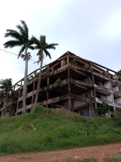 This media file presents a wide shot of a large, abandoned or unfinished concrete building located in a lush, green environment. The multi-story structure dominates the right and center of the frame, characterized by exposed concrete beams, columns, and empty floor spaces, suggesting a state of disrepair or incomplete construction. Parts of a tiled roof are visible on the uppermost sections.

The building is surrounded and partially overgrown by vibrant green vegetation. Thick grass covers a steep incline in the foreground, leading up to the structure. Small trees and bushes are seen growing directly on the concrete ledges and within the framework of the building, highlighting nature's reclamation.

Several tall palm trees stand prominently on the left side of the image, their dark green fronds extending against a bright, overcast sky. Two particularly tall palm trees rise directly in front of the building, towering above its roofline. Faint power lines or cables are visible horizontally across the sky, passing between the palm trees and above the building.

A reddish-brown dirt road runs across the very bottom of the frame, creating a clear foreground element. The overcast sky indicates a cloudy day, with diffused light casting no distinct shadows, suggesting either morning or late afternoon. The scene is devoid of people or any ongoing activity, conveying a sense of quiet abandonment and the resilience of nature. The visual cues, including the palm trees and abundant greenery, are consistent with the provided context of Concepción, Paraguay. No visible text is present in the image.