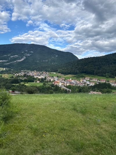 The image is a landscape view of the town of Cavedago, Italy, set against a backdrop of lush green mountains. In the foreground, a grassy hill slopes downwards, dotted with wildflowers. The mid-ground features a cluster of buildings, characteristic of a small Italian village, with colorful rooftops and varying architectural styles. Some of the buildings appear to be residential homes, while others may be commercial establishments. A winding road is visible, leading through the town and connecting it to the surrounding areas. The background is dominated by the imposing presence of the mountains, covered in dense green vegetation. The sky above is a mix of blue and white clouds, suggesting a partly cloudy day. The overall impression is one of a serene and picturesque rural setting in the Italian countryside.