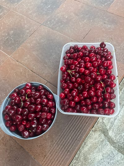 Two containers of fresh cherries are situated on an outdoor tiled surface. A light gray bowl, filled with dark red cherries, is positioned to the left of the frame. To its right, a clear plastic rectangular container is also filled with numerous dark red cherries. The background consists of brown and beige square tiles, and the edge of a wooden plank is visible in the lower right portion of the image. No people or animals are present in the scene.
