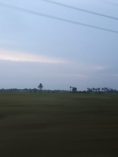The image depicts a hazy, overcast sky over a flat, green expanse, likely a field or paddy, with a distant tree line dotted with more trees. A single, prominent palm tree stands out against the horizon. Electrical wires are visible stretching across the upper portion of the sky. The overall scene is one of a rural, open landscape under a subdued sky. The context provided indicates the location is Bateiiliek, Indonesia.