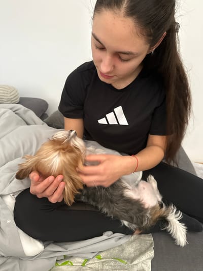 A young woman with long, dark hair is sitting on a gray couch, wearing a black t-shirt with a white logo and black leggings. She is petting a small, light brown and gray dog that is lying on its back on her lap. The environment includes a gray and white striped pillow, a gray blanket, and a white wall in the background. There is no indication of location in Gunzenhausen, Germany.