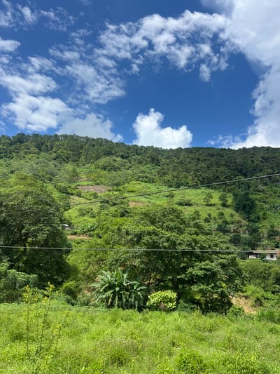 This is an outdoor, eye-level, medium shot of a lush, green hillside under a bright blue sky with scattered white clouds. The hillside is covered in dense vegetation, with a mix of trees and smaller plants. Some areas of the hillside appear to be terraced, suggesting agricultural use. Several power lines stretch horizontally across the midground of the image, obscuring parts of the vegetation. In the far background, a few buildings with white walls and dark roofs are visible nestled on the slope. The foreground consists of a field of tall, green grass, with some smaller flowering plants interspersed. The overall impression is one of a vibrant, natural landscape, likely in a rural or mountainous region. The specific location is Thuận Hòa Commune, Vietnam. There are no people visible in the image.