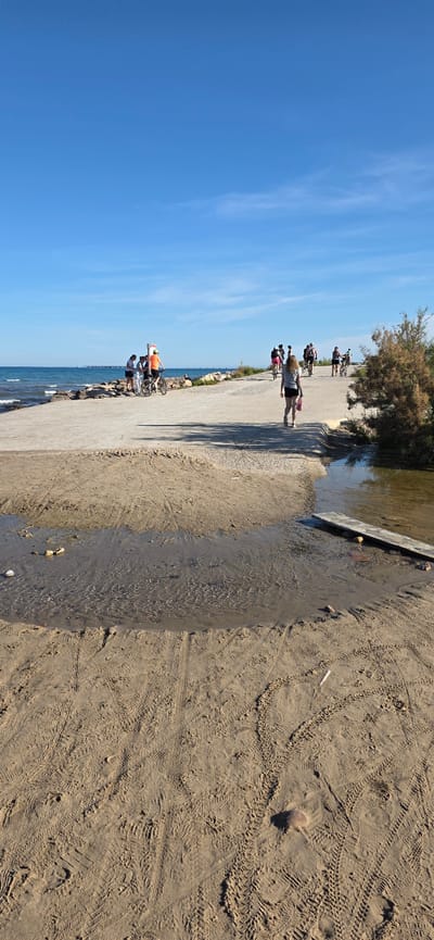 The image shows a coastal scene in Canet d'en Berenguer, Spain. A concrete path runs along the edge of the beach, separating the sand from a shallow stream of water flowing into the sea. The sky is clear blue. Several people are walking and cycling along the path. A few others are near the water’s edge. The sand is marked with tire tracks and footprints. A small bush or tree is present near the stream.