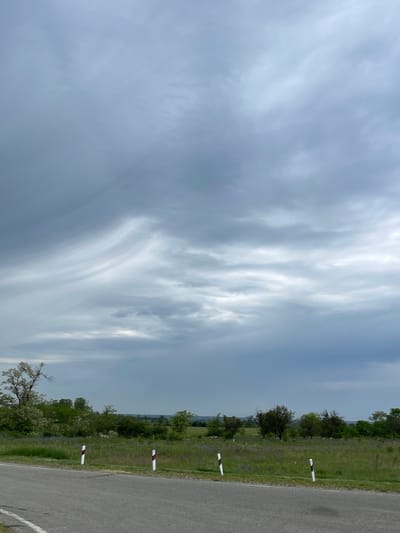 A cloudy sky dominates the upper portion of the image, with wispy white clouds stretched across a muted gray backdrop. Below the sky, a green field stretches to the horizon, dotted with trees. A paved road runs along the bottom left of the image, with white and red striped posts marking its edge. The scene appears to be in a rural area, possibly on the outskirts of Moskovskoe, Russia, given the natural landscape and absence of urban structures.