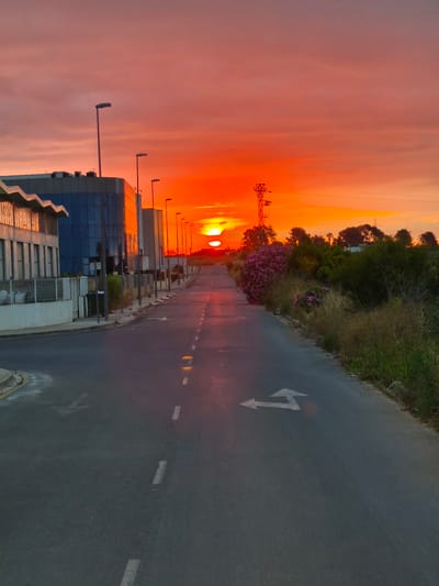 A striking photograph captures an empty road bathed in the fiery glow of a sunrise or sunset in Nàquera, Spain. The sky dominates the upper portion of the image, ablaze with intense reds and oranges, showcasing some clouds further up while remaining clear near the horizon. The low-lying sun is visible as two brilliant, circular orbs near the center of the frame, casting a warm, reflective light.
The asphalt road stretches forward, marked by white dashed lines and a prominent white painted arrow on the right lane, indicating directions for left and straight ahead. On the left side of the road, a series of modern buildings with sleek glass facades and concrete elements reflect the dramatic sky. Several dark streetlights line this side, standing tall against the bright backdrop.
The right side of the road features a wilder landscape. A verge of tall, dry grass and lush green bushes with vibrant pink and purple flowering plants runs alongside the asphalt. Beyond this vegetation, a dense line of trees and a tall metal utility tower are silhouetted against the intensely colored sky. The scene is devoid of people, conveying a sense of serene solitude or early morning/late evening tranquility within a transitional zone where human infrastructure meets natural growth.