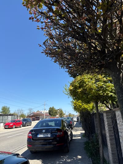 The image shows a street scene in Amzacea, Romania. Cars are parked along the side of the road, including a black Skoda Octavia with license plate "CT-89BKA". There is a red car parked further down the road. The scene is taken from a low angle, including trees that overhang the road. The sky is blue and clear. A sidewalk runs along the right of the frame, adjacent to a fence. Power lines are visible. The weather appears sunny.