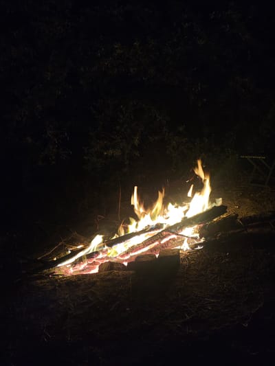 In the city of Zhaingazhol, Kazakhstan, an outdoor campfire burns brightly at night. The fire is built with several logs of wood, some of which are split and charred from previous burns. Flames of yellow, orange, and white lick upwards, illuminating the surrounding area. The ground beneath the fire appears to be dirt and dry grass. In the background, dark foliage and trees are visible, suggesting a natural or semi-natural environment. A green metal chair is partially visible in the upper right corner of the image. The overall scene depicts a typical campfire setting at dusk or nighttime.