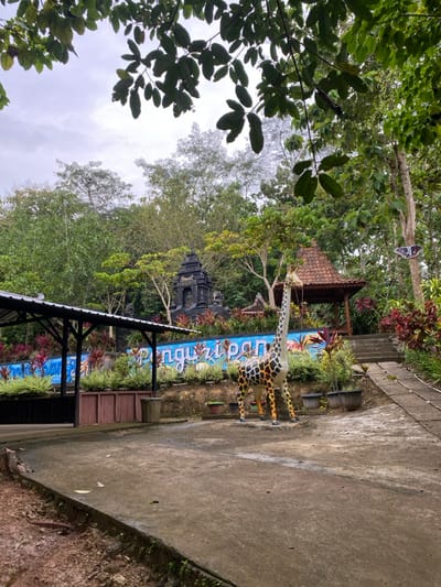 The scene is a park or zoo in Kecamatan Manyaran, Indonesia (latitude: -7.826, longitude: 110.816). A giraffe statue stands on a concrete path surrounded by trees and shrubs. A wooden structure with a thatched roof is located behind the giraffe, to the right of the path. A blue and white painted sign with the word "Penguripan" is visible in front of the giraffe. A wooden shelter is located to the left of the giraffe statue. The path leads up to a concrete staircase. The trees in the background are thick and provide shade. The overall environment is lush and green.