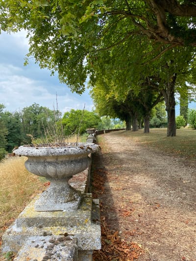 The image depicts a stone urn filled with dry vegetation, placed on a stone wall. A gravel path runs alongside the wall, lined with a row of trees with green foliage. The ground is covered with dry leaves and scattered nuts. In the background, lush green trees and a cloudy sky are visible. This scene is located at the park of the Château de Laténa in Switzerland.
