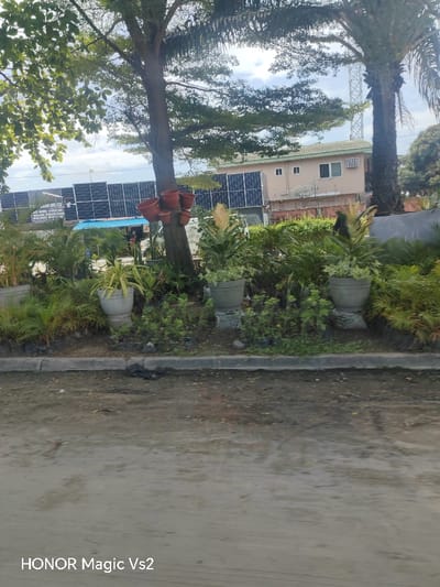 The image displays a street-level view in Festac Town, Nigeria, featuring a landscaped median separating an unpaved road from various structures and infrastructure. The immediate foreground shows a light brown dirt road with some visible tire tracks and debris, bordered by a low concrete curb.

Beyond the curb, a landscaped strip contains a variety of green plants and shrubs. Several larger plants with variegated green and light-colored foliage are arranged in prominent gray, urn-shaped pots, resting on cylindrical bases. Smaller plants in black nursery bags are scattered on the ground within this strip. A central tree trunk, likely deciduous, has five reddish-brown terracotta-style pots affixed to its side. To the right, a tall palm tree stands with dark fronds.

In the midground, behind the landscaping, a significant array of dark blue photovoltaic solar panels is mounted on a long structure, spanning a substantial portion of the frame to the left. Below a section of these solar panels, a blue fabric awning or tarp is visible, beneath which indistinct figures are present, suggesting human activity, possibly at a small business or stall. A white vehicle is partially visible behind the awning. Further to the right and behind the solar array, a two-story building with a light beige or tan facade and a dark roof is visible. This building features multiple rectangular windows, some with white frames and others with darker frames, and an air conditioning unit is installed on the upper floor. In the far background, behind the palm tree, a tall, slender lattice-style communication tower is faintly visible against the partly cloudy sky.