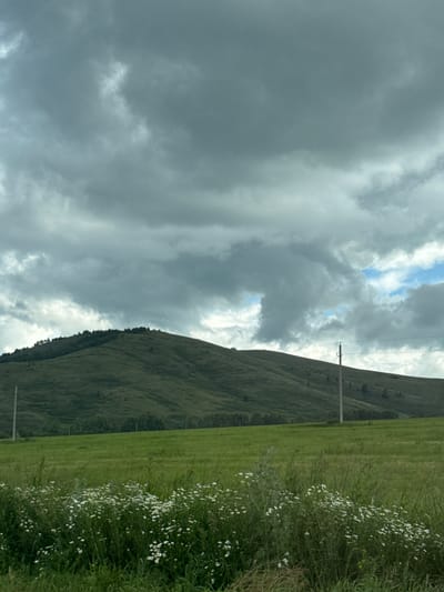 The image depicts a rural landscape with a large, green, rolling hill dominating the background. The hill is covered in grass with a line of trees along its crest. The sky above is filled with dramatic, dark gray clouds, though patches of blue sky are visible towards the right side. In the foreground, there is a vibrant green meadow with a cluster of small white wildflowers. A tall, slender utility pole stands in the middle ground, to the right of the hill. The scene suggests an overcast day in a natural, undeveloped area, possibly on the outskirts of a city. Without specific landmarks, pinpointing the exact location within Uralsk, Russia, is not possible from the image alone.