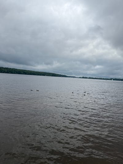 This is a landscape photograph taken at the Klyazma Reservoir Tourist Resort in Russia, depicting a wide body of water under a cloudy sky. The water is dark and choppy, with ripples indicating a gentle breeze. In the distance, a dense line of green trees forms the shoreline, with a few distant sailboats visible on the water. Closer to the foreground, a small group of ducks are swimming, their dark silhouettes contrasting with the water. The overall atmosphere is overcast and subdued, suggesting a cool, possibly rainy day. The image captures a serene, natural scene with minimal human activity.
