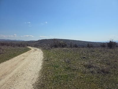 The image depicts an unpopulated rural landscape identified as being in the vicinity of Vrachevce, North Macedonia. A light-colored, unpaved dirt or gravel path, approximately 3 meters wide, curves from the lower-left foreground towards the center-right midground and out of frame. The ground immediately adjacent to the path and extending across the foreground is covered with sparse, dry brown grass interspersed with patches of green vegetation. Scattered, low-lying deciduous shrubs, characterized by dark, sparse foliage, are visible on both sides of the path and across the midground. The background consists of rolling hills or low mountains, densely covered with similar vegetation, under a clear blue sky. Minimal, wispy white clouds are present on the left side of the sky, with a distant, faint mountain range visible on the far horizon to the right. The scene is illuminated by natural daylight; no individuals, animals, structures, or vehicles are present.
