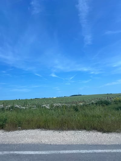 This image captures a bright, expansive rural landscape under a clear blue sky. The scene is dominated by a wide, vibrant blue sky filling the upper portion, featuring sparse, delicate wisps of white clouds, indicative of fair weather.
The lower half of the image presents a verdant green field stretching into the distance on the left. This field is densely covered with grass and dotted with numerous small white wildflowers, along with hints of red and purple blooms, suggesting a natural or agricultural setting. Along the distant horizon, a faint line of darker green vegetation and subtle, indistinct structures, possibly power line towers or distant buildings, are visible.
On the right side of the frame, a light-colored, gravelly shoulder or verge runs alongside what appears to be an asphalt road, partially visible on the far right with a distinct white line marking its edge.
The overall impression is one of peacefulness and openness on a clear and sunny day, likely late morning or early afternoon, given the strong natural light. There are no people or specific activities taking place. No text is visible. The scene is set in a rural area, consistent with the provided location context of Kumanovo, Bulgaria.