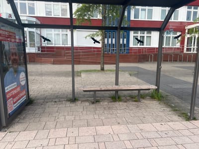 The image depicts a bus stop in Greifswald, Germany. A bus shelter with a glass enclosure and a wooden bench is visible. Black silhouettes of birds are affixed to the glass. A poster with text in German and a QR code is displayed on the left side of the shelter. In the background, a building with red and white facade and multiple windows stands. The ground is paved with stone tiles.