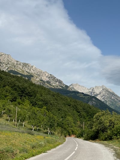 The image depicts a scenic mountain landscape in the vicinity of the city of Redice, Montenegro. A paved road with a white dashed line curves through the foreground, leading into the scene. On the left side of the road, a grassy slope is dotted with yellow wildflowers and scattered trees with white trunks. Beyond the slope, a dense forest of green trees covers the mountainside. In the background, rugged, rocky mountains with sparse vegetation rise towards a partly cloudy blue sky. One utility pole is visible on the left side of the road, and another on the right. The lighting suggests it is daytime, likely late afternoon, given the shadows.