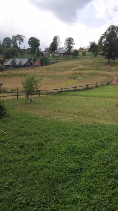 The image depicts a rural landscape with several houses situated on a gentle incline under a cloudy sky. In the foreground, a lush green grassy area leads up to a wooden fence that meanders across the midground. Beyond the fence, a field of dry, golden grass is dotted with small white flowers. Several trees are scattered throughout the scene, with a cluster of larger trees on the left side of the image and more sparse trees on the right. Some of the houses appear to be wooden structures, with visible roofs and windows. In the distance, more houses and trees are visible, suggesting a small village or hamlet. The overall impression is of a serene, pastoral setting in a rural Ukrainian village.