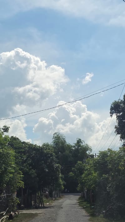 The image depicts a street in Pante Aree, Indonesia. The sky is visible on the left side of the image, with scattered white cumulus clouds against a light blue sky. Power lines stretch across the top of the frame. On the right side is a paved road flanked by dense foliage, with trees lining the road. The road leads into the distance, suggesting a residential area.
