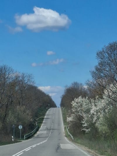 An outdoor shot of a road running towards the horizon, flanked by trees and a bright blue sky with scattered clouds. The road has white lane markings, and there is vegetation on either side. The location is Studeno Buche, Bulgaria.