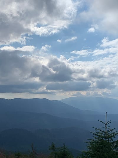 The image depicts a panoramic view of mountainous terrain, likely captured from an elevated position within the vicinity of Lazeshchyna, Ukraine. The upper half of the frame is dominated by a dynamic sky featuring a mixture of cumulus and stratocumulus clouds. Patches of clear, light blue sky are visible between the clouds, particularly in the upper right quadrant. Sunlight appears to be breaking through the cloud cover in certain areas, casting brighter highlights on some cloud formations while others remain in shadow, contributing to a varied gray and white cloud palette.

Below the horizon, the landscape consists of multiple layers of mountains and hills receding into the distance, exhibiting a distinct atmospheric perspective. These landforms appear in progressively lighter and desaturated shades of blue and gray, indicating significant distance. The nearer mountain ridges are darker, with subtle variations in texture suggesting forested slopes, while more distant ranges are smoother and less defined. No specific man-made structures or signs of human activity are visible within the mountain ranges.

In the lower right foreground, a portion of a conifer, specifically a spruce or fir tree, with dark green needles is partially visible, extending upwards into the frame. Other faint indications of vegetation, possibly bushes or smaller trees, are present in the immediate foreground, colored in darker, muted greens and browns. No individuals or animals are present in the scene. The overall lighting suggests a day with variable sunlight, possibly early morning or late afternoon, creating a serene, natural environment.