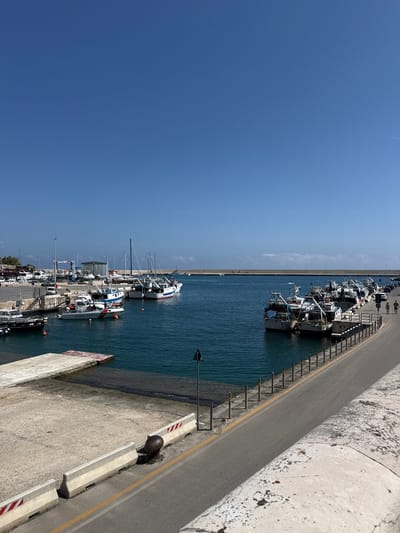 This detailed image depicts the Monopoli Old Port in Monopoli, Italy, under a clear, cloudless deep blue sky. A faint aircraft contrail is visible in the upper right quadrant of the sky.

The foreground on the left features a textured, light-colored concrete ground area, partially wet at its edge where a concrete ramp descends into the calm, teal-blue harbor water. Two concrete traffic barriers, marked with diagonal red and white stripes, are positioned on this concrete area, partially obscured by a large, dark, oxidized metallic bollard.

An asphalt road occupies the mid-ground, running diagonally from the lower left to the center right. It is bordered on the left by a series of light-colored bollards with yellow tops, separating it from the water. On the right, a textured, lighter-colored concrete wall forms the immediate edge of the frame.

The harbor water is populated with various vessels. On the left side, several recreational sailboats and motorboats are moored at a quay. Prominently, a white patrol boat, marked "GUARDIA COSTIERA" (Coast Guard) with red and white stripes, is docked. In the background behind these boats, a large blue gantry-style boat lift and a covered building are visible, indicative of marine service facilities.

On the right side of the image, a long line of white fishing trawlers, distinguished by their fishing gear and nets, are closely moored along a concrete quay that runs parallel to the asphalt road. Two individuals are walking on this asphalt road, moving away from the viewer, positioned alongside the docked trawlers. A small personal watercraft (jet ski) is observed in the open water further out, near the horizon.

A long, low concrete breakwater stretches across the background, delineating the outer boundary of the port. The scene is brightly illuminated by strong, direct sunlight, casting well-defined shadows.