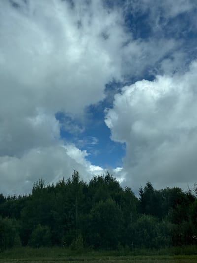 The image shows a forest canopy below a cloudy sky. The sky is predominantly blue with large, puffy white and grey clouds. There is a clear patch of blue sky visible in the center, surrounded by clouds. The forest is dense and appears to be composed of a variety of trees, mostly evergreen. The ground in front of the forest is covered with grass and some sparse vegetation. The location is described as Kopal'no, Russia. There are no people or animals visible in the image. The lighting suggests it is daytime.