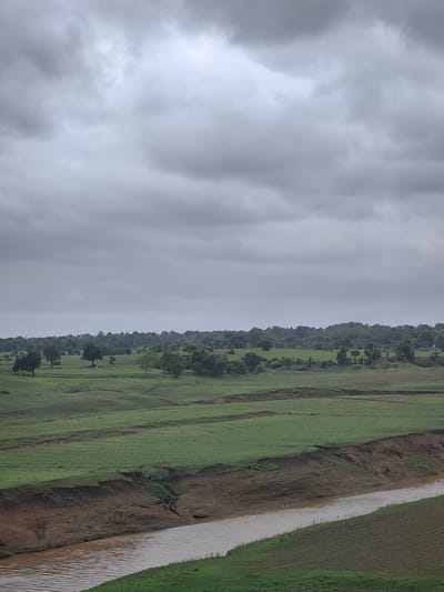 A wide shot captures a rural landscape under an overcast sky. The foreground features a body of muddy water, likely a river, with gently sloping green banks. Beyond the water, rolling green fields are visible, marked by terraced levels and some erosion. A line of trees forms a darker band across the mid-ground, with more dispersed trees dotting the fields. The horizon is lined with a dense forest. The overall impression is one of a natural, undeveloped area, possibly a rural scene in the vicinity of Dagarkheri, India. There are no people or animals visible in the frame.