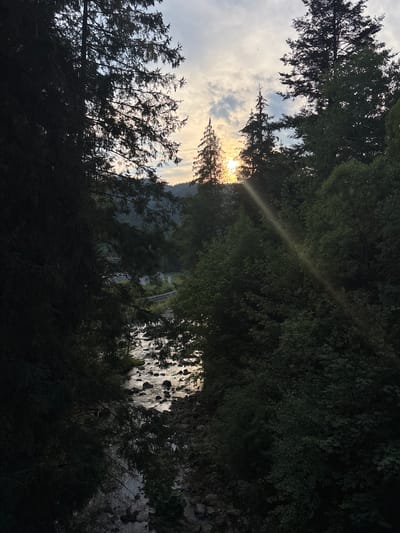 This is a vertical, low-angle shot of a sunlit forest bordering a body of water, likely a river or lake. The sun is low in the sky, casting a warm glow through the dense foliage, creating visible light rays. The scene appears to be set in a natural environment, with trees dominating the foreground and middle ground. The water's surface reflects the light and shows scattered rocks or pebbles along its edge. In the distance, across the water, a hillside with a road or path is visible. The lighting suggests it is either sunrise or sunset, with the sun partially obscured by the trees, creating a dappled light effect. The mood is serene and tranquil, characteristic of a natural landscape at dusk or dawn. There is no visible text in the image. The location is Tatariv, Ukraine.