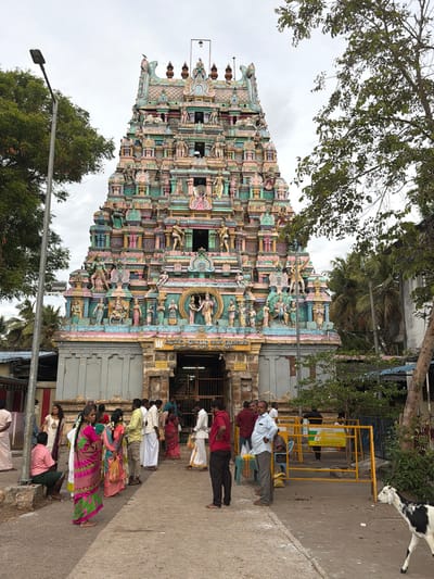 The image depicts the entrance to the Thirumanancheri temple in Thirumanancheri, India. A prominent, multi-tiered gopuram, adorned with colorful sculptures of deities and mythological figures, dominates the background. The gopuram is painted in vibrant hues of pink, green, blue, and yellow, with intricate details on each level.
In the foreground, a group of people are gathered. Many are dressed in traditional Indian attire, with women in sarees and men in shirts and lungis or pants. Some are standing, while others are sitting or walking. A woman in a brightly colored pink and green saree stands prominently in the center, looking to her left. A man in a red shirt and black pants stands to the right, facing away from the camera.
To the right of the entrance, a yellow metal barrier is visible, with a sign that reads "TAMIL MATRIMONY." Behind the barrier, a few individuals are seen, and a small tree grows. A black and white goat is walking across the paved ground in the lower right corner of the image, looking towards the left.
The environment appears to be outdoors, with a cloudy sky. Trees with green foliage are present on the left and right sides of the image, with palm trees visible in the distance. A street lamp stands on the left side, near the trees. The ground is paved with concrete. The overall scene suggests a busy day at a religious site, with devotees and visitors present.