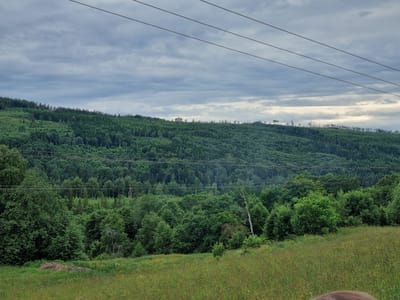 A landscape photograph shows a heavily forested hillside under a cloudy sky. Three parallel power lines stretch across the upper portion of the image. The hillside is covered in dense green trees, with some clear-cut areas visible near the top. In the foreground, a grassy slope is dotted with wildflowers. A small pile of what appears to be dirt or compost sits on the grass. The image is taken in the Indals-Lidens kommundel, Sweden.