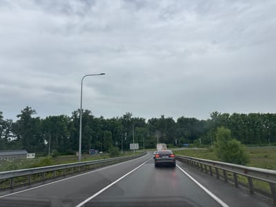 The image captures a view from a vehicle driving on a wet, asphalt road under an overcast sky. The road appears to be a highway or a major thoroughfare with multiple lanes, indicated by white lane markings. A dark-colored sedan is visible in the right lane ahead, with its taillights illuminated and reflecting on the wet surface. Guardrails line both sides of the road.
To the left of the road, there is a row of trees forming a dense forest. A few buildings, possibly outbuildings or small structures, are situated near the treeline. A tall lamppost is positioned on the left side of the road.
To the right of the road, beyond the guardrail, is a grassy field that also appears somewhat damp. More trees form a backdrop to the field. In the distance, there are some road signs and what appears to be a truck.
The overall environment suggests a somewhat rural or semi-urban setting in Georgia, possibly near the municipality of ნიგოითის თემი. The weather conditions are cloudy and potentially rainy, contributing to the wet road surface and the subdued lighting.