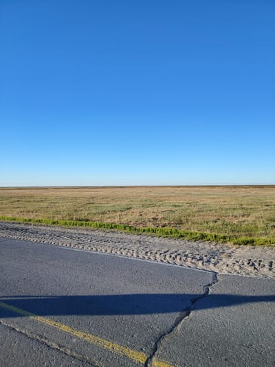 The image depicts a wide, flat expanse of grassland under a clear blue sky. In the foreground, a section of asphalt road is visible, with tire tracks and a crack running through its surface. Yellow lines are painted on the road. The grassland beyond the road is a mix of dry and green vegetation, stretching to the horizon. The environment suggests an open, rural or natural setting. This scene is likely from the outskirts of Yamburg, Russia, characterized by its flat terrain and vast open spaces. No people or animals are present in the image.
