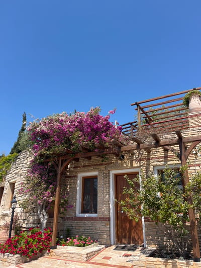 The image shows a stone building with a wooden pergola covered in pink bougainvillea flowers in the city of Moni Archaggelou, Greece, located at latitude 40.597, longitude 24.701. The building has a wooden door and a window. There are potted plants and a small garden bed in front of the building. The sky is blue and clear.  The scene is a tranquil outdoor space with a stone building, wooden accents, and vibrant flowers. The greenery adds a touch of nature and a sense of peace to the setting.  There are no people present in the image.