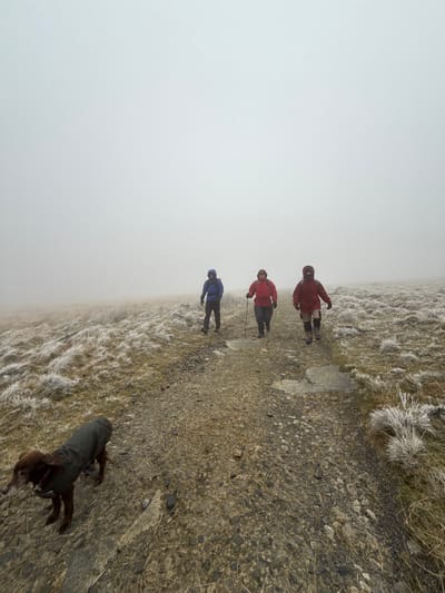 A low-visibility scene on a frost-covered moorland path in West Devon, United Kingdom, features three individuals and a dog walking forward. Dense fog or mist obscures the horizon and sky, merging into a uniform light grey. The unpaved path consists of gravel and embedded stones, flanked by sparse, ice-encrusted grasses and heather. In the foreground, a medium-sized dark brown dog, wearing a dark green waterproof coat, walks on the left side of the path with its head slightly lowered. In the mid-ground, three individuals are observed walking towards the camera. The leftmost person wears a blue hooded jacket and dark trousers. The central person wears a red hooded jacket, dark trousers, and uses a single dark walking pole in their right hand. The rightmost person wears a dark red hooded jacket with light-colored gaiters over dark trousers. All individuals are clad in heavy outdoor attire; their hoods are up, partially obscuring their faces.