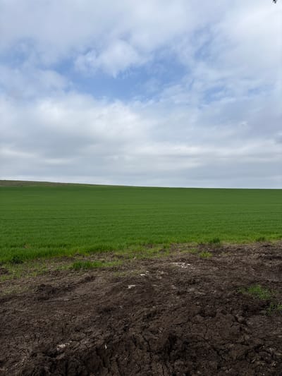 The image depicts a field divided into thirds: a section of blue sky with clouds, a patch of green grass, and dark soil. The location of the image is not evident within the visual context. The photo shows a green field next to bare tilled ground with a slightly cloudy sky above.