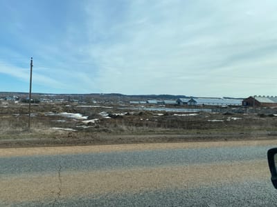 The image depicts a rural scene in Bol'shaya Sosnova, Russia. A paved road occupies the lower portion of the frame, with an adjacent dirt shoulder. Beyond the shoulder is a field with patchy snow cover and brown vegetation. In the distance are several large, barn-like structures, possibly agricultural buildings. Further in the background, a line of trees and some houses suggests a small village or town. A utility pole stands on the left side of the image, with power lines stretching across the sky. The sky is partly cloudy, with a blue hue.