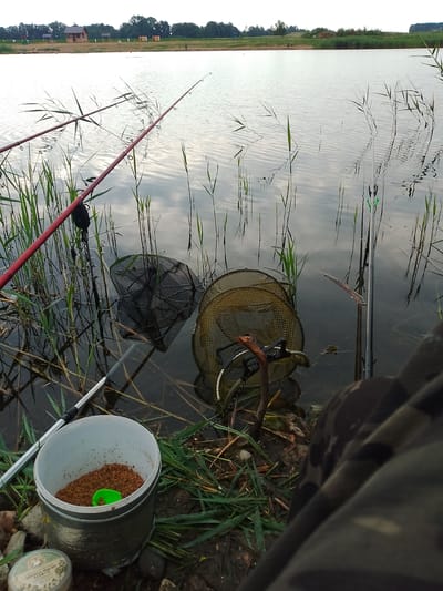 An outdoor, eye-level, medium shot captures a lakeside scene with fishing equipment. In the foreground, a white bucket filled with brown bait and a small green scoop rests on the muddy bank, surrounded by rocks and reeds. To the left, a fishing rod with a red handle is partially visible, its line extending into the water. Two fishing nets, one black and one yellow, are submerged near the bank. Further out in the lake, several fishing rods are set up. The lake itself is calm, with reflections of the sky and vegetation on its surface. In the background, a wooded shoreline is visible, with small wooden structures and what appears to be a building. The sky is overcast. The location is identified as a lake within the Свіслацкі сельскі Савет, Belarus.
