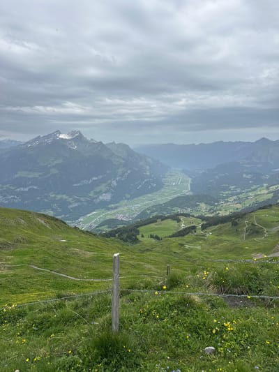 The image shows a panoramic view of a mountainous landscape in Hasliberg Reuti, Switzerland. In the foreground, a grassy slope is covered with wildflowers, including yellow and blue varieties. A wooden fence post with barbed wire runs across the frame. Beyond the foreground, the land slopes down into a valley. The valley is dotted with small buildings and fields, with a road and a river running through it. In the background, several large, majestic mountains rise up, some with snow-capped peaks. The sky is overcast with gray clouds. The scene depicts a serene and natural environment, typical of the Swiss Alps.