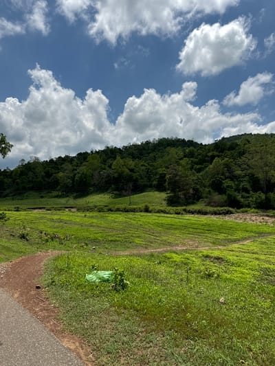 This is a landscape image taken in Ham Thuan Bac, Vietnam. The scene depicts a lush green valley with a dense forest covering a hillside in the background. The sky above is a vibrant blue with scattered white cumulus clouds. A dirt path curves into the frame from the lower left corner, bordering a field of green grass. There is a piece of bright green plastic debris on the grass near the path. The overall impression is one of a natural, rural environment under a bright, partly cloudy sky.