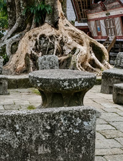The image shows an outdoor scene in Ambarita, Indonesia, featuring a massive banyan tree with thick, exposed roots. In the foreground, a large, weathered stone table with a pedestal base sits on a paved stone surface. To the left and right of the table are more rough-hewn stone blocks, some appearing to be parts of a low wall or seating area. The texture of the stone is rough and covered in patches of lichen.
Behind the tree, a traditional Batak house, known as a "Rumah Bolon," is visible. It has an ornate, saddle-shaped roof with colorful decorations and intricate wooden carvings. The house is elevated on stilts, and stairs lead up to its entrance. The overall atmosphere is one of ancient history and cultural significance, likely within a historical or ceremonial site. There are no people visible in the image.