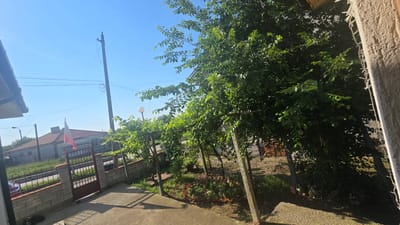 The image displays an outdoor residential scene in Rudnik, Bulgaria, under a clear, bright blue sky. The viewpoint is from a property's paved area, with a concrete pathway extending across the lower foreground. A dark, indeterminate object, possibly an animal, rests partially obscured in shadow in the bottom left corner. On the far right, a textured, light-colored concrete pillar is visible, adorned with white string lights. A dark roof overhang is partially visible in the upper left foreground.
The midground features a garden area to the right, characterized by dense green foliage, likely vines, supported by a trellis structure with multiple vertical posts. Within this garden, a white, spherical outdoor light fixture on a pole is visible, alongside terracotta-colored decorative edging and several small animal figurines on the ground.
To the left of the garden, a low fence constructed from concrete blocks and metal bars defines the property boundary. A closed, dark-colored metal gate is integrated into this fence. Beyond the fence, a street or unpaved road is visible, with a red vehicle partially parked on the left. Across the street, a single-story house with a reddish-brown tiled roof stands. A red and white horizontal bi-color flag is displayed near this house. Several utility poles with overhead wires traverse the scene, with one prominent pole positioned on the left, extending into the clear sky. Distant structures and additional utility infrastructure are faintly visible on the horizon. No people or overt actions are depicted.