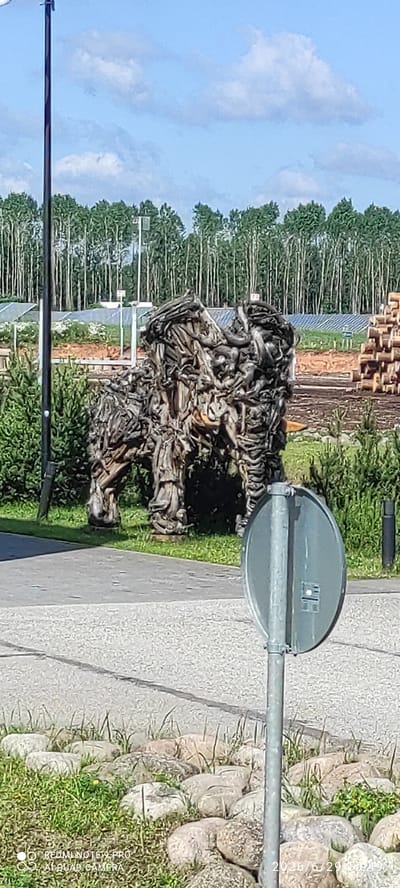 The image shows a sculpture of an animal, possibly a bull or a bison, made of wood and driftwood. The sculpture is located outdoors in what appears to be a park or public area. In the background, there is a line of trees, a fence, solar panels, and a stack of logs, suggesting an industrial or logging area adjacent to a natural setting. A lamppost and a traffic sign are also visible in the foreground. The ground is paved with concrete and gravel, with patches of grass and rocks. The sky is blue with some white clouds. The date stamp at the bottom right indicates the photo was taken on 2026/6/29. The location is identified as Verijärve, Estonia. There are no people visible in the image.