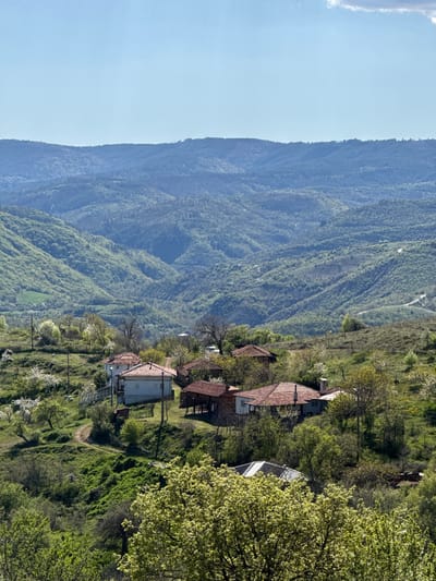 The image depicts a rural landscape in Tsarvishte, Bulgaria, featuring a row of houses with red-tiled roofs situated on a hillside. Beyond the houses, a steep, densely forested mountain range rises against a clear blue sky. The foreground includes lush greenery and trees, some with white blossoms, suggesting springtime. A dirt path or track winds through the grass near the houses. No people are visible in the image.
