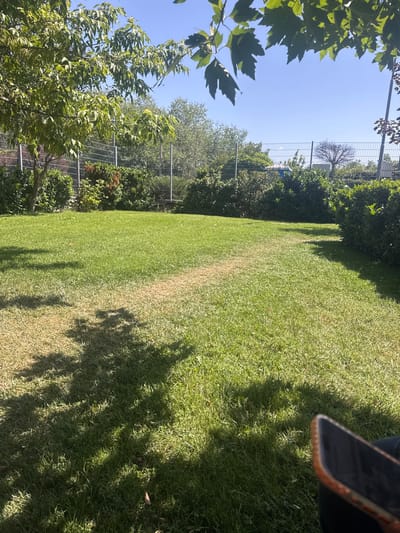 This is a vertical outdoor photograph taken in Tsalapitsa, Bulgaria. The scene is a well-maintained grassy area with a fence in the background. On the left side of the frame, lush green foliage from trees and bushes is visible, with a bright blue sky overhead. The grass in the foreground appears to be recently mowed, with some areas showing signs of being drier and browner, suggesting a transition or different watering zones. The sunlight casts distinct shadows of branches and leaves across the lawn, indicating it is a sunny day, likely in the morning or afternoon.
In the upper right portion of the image, a person's hand holding a mobile phone is partially visible, resting on the grass. The phone has a patterned case with orange and brown hues, and the screen is dark. The overall impression is a peaceful, outdoor setting, possibly a park or a well-kept garden. There are no visible text elements in the image.