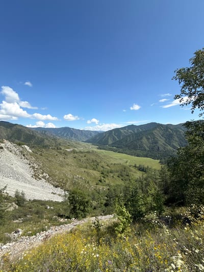 The image captures a panoramic view of a lush, mountainous valley under a clear blue sky dotted with white clouds. The foreground is a vibrant meadow filled with a variety of wildflowers, predominantly yellow and white, with hints of purple. This meadow slopes down towards a rocky, gravelly embankment on the left. Beyond the meadow, the terrain transitions into rolling green hills covered with sparse trees and vegetation. Further in the distance, a wider valley opens up, with a neatly mowed green field and a faint road visible. The background is dominated by a series of majestic, densely forested mountains that recede into the horizon. On the far right edge of the image, the dark green foliage of a large tree partially obscures the view, framing the scenic landscape. The image depicts a serene, natural environment, likely a rural or wilderness area. The city of Khabarovsk, Russia, is a port city on the Amur River, known for its natural beauty and surrounding wilderness. This scene is consistent with the mountainous and forested regions found in the vicinity of Khabarovsk.