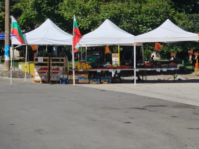 This media file depicts an outdoor fruit stand in Krushovitsa, Bulgaria. Three white tents are set up, providing shade over tables laden with various fruits and vegetables. Bulgarian flags are prominently displayed on poles in front of the first two tents.

In the first tent, several watermelons are visible in wooden crates, with some whole and some sliced. The second tent features a vendor in a green shirt arranging produce, with piles of yellow melons and other fruits on display. The third tent has a more diverse selection of fruits and vegetables, including what appear to be tomatoes, peaches, and other items. Several people are visible in the background, some appearing to be customers or other vendors.

The scene suggests a sunny day, possibly late morning or early afternoon, given the shadows. The overall atmosphere seems to be that of a typical market day. There are some visible signs, though the text is largely illegible due to image resolution and distance, with the exception of what appears to be Cyrillic text on a blue sign on a pole to the left of the first tent. The setting is on a paved surface, likely a street or marketplace, with lush green trees in the background.