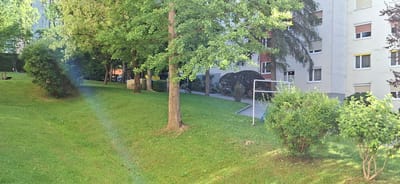 This is a horizontal, medium-angle, eye-level shot of a grassy park area with a residential building in the background. The park is well-maintained, with lush green grass, scattered trees, and a few bushes. A rainbow or light refraction is visible on the left side of the image, cast across the lawn.
In the foreground, two medium-sized, bushy shrubs are present. Behind them, a large, well-established tree with light green foliage dominates the central part of the frame. To the left, there is a park bench. Further back, a row of trees with dense green leaves creates a natural screen. Beyond the trees, a light-colored, multi-story residential building with numerous windows and balconies is visible. Some windows have blinds. A narrow pathway or sidewalk runs in front of the building, bordered by some low-lying bushes. A bicycle is parked near the building.
The scene appears to be set during the daytime, likely late afternoon or early evening, given the warm lighting and the appearance of the rainbow effect. The weather seems pleasant, with sunshine illuminating the area. The location is identified as Graz, Austria, which is suggested by the architectural style of the building and the overall setting of a European city park. No people are clearly visible in the image, and no text is present. The overall mood is serene and peaceful, depicting a quiet urban green space.