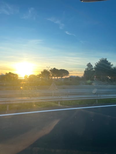 The scene depicts an exterior view of a multi-lane highway in La Palme, France, under conditions of strong direct sunlight, indicative of sunrise or sunset. The sky displays a clear blue gradient with sparse cirrus clouds, transitioning to an intense golden-yellow at the left horizon where the sun is positioned. Prominent lens flare patterns are evident across the image, particularly in the lower half.
The immediate foreground features a dark asphalt surface with a distinct horizontal white demarcation line, likely viewed from a vehicle interior due to reflections. A multi-lane highway occupies the midground, characterized by dark gray pavement and a silver-colored metal guardrail lining the right edge. A strip of green vegetation is present beyond the guardrail.
The background presents a landscape with several dark green, dense trees, possibly pines, clustered on rising ground. To the left, a luminous area suggests a body of water or a distant, brightly lit structure, with a slender pole visible against the bright sky. In the center-right background, an irregular pile of light-colored debris or earth is observed, adjacent to which a red circular 'No Entry' sign is partially visible among the trees. No human figures or active interactions are discernible within the frame.