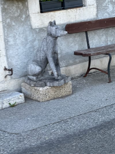 The image depicts a weathered wooden statue of a dog sitting on a textured stone block in front of a light-colored, rough-textured wall. To the right of the statue, a dark brown wooden bench with dark metal legs is positioned against the wall. The ground in front of the wall and bench is paved with asphalt. A small plant is visible growing near the lower left corner of the image. The scene appears to be outdoors, possibly in a public space.